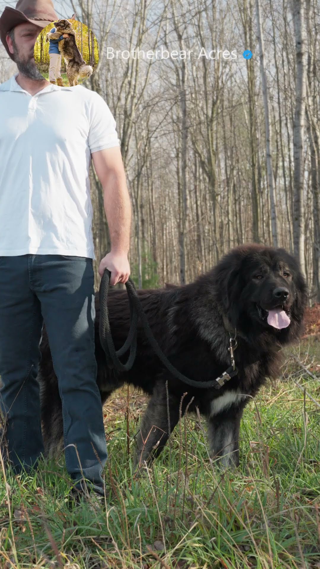 Puppy to Protector - Caucasian Shepherd video at Brotherbear Acres