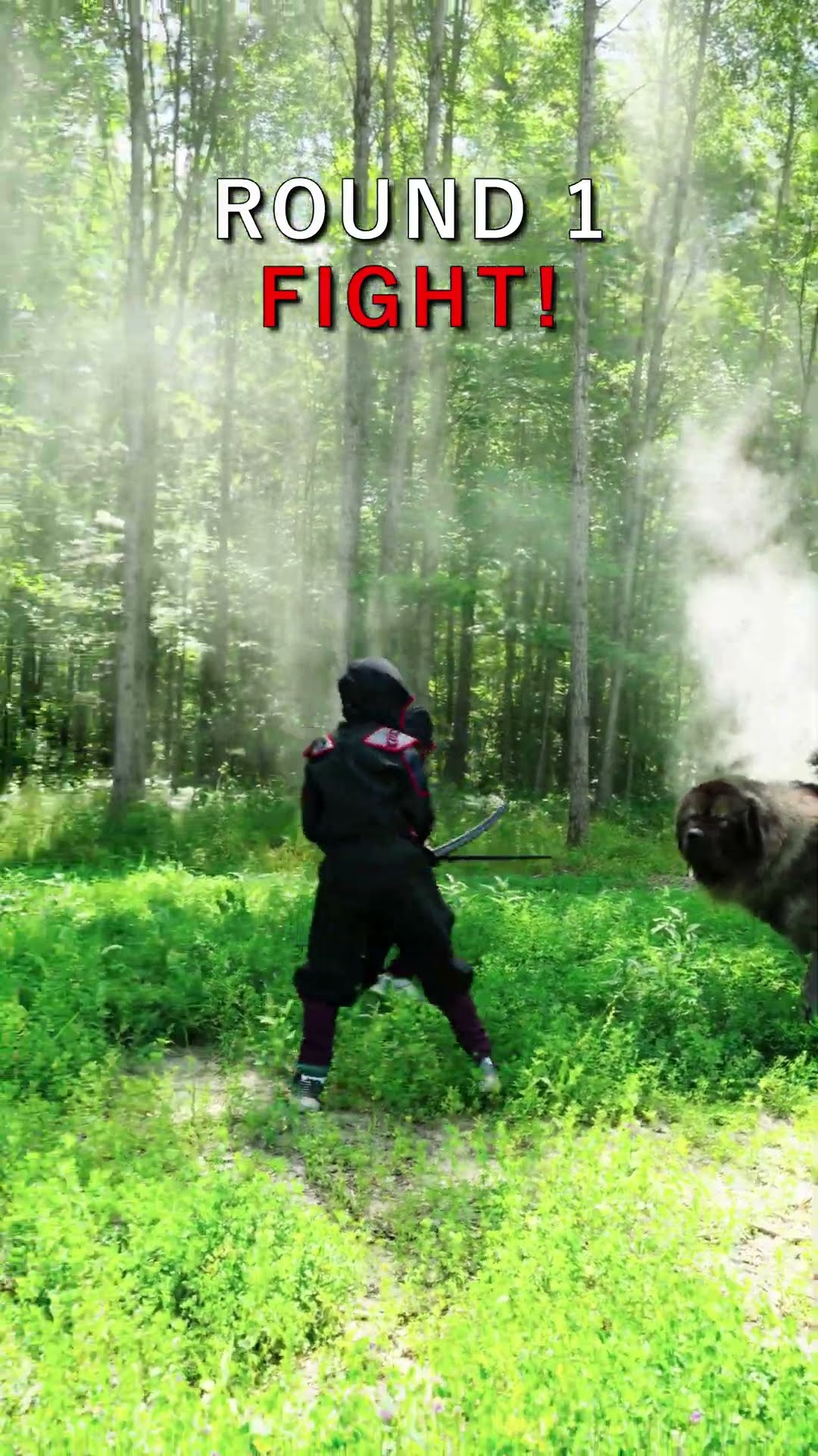 Round One: Kids vs Guardian - Caucasian Shepherd video at Brotherbear Acres