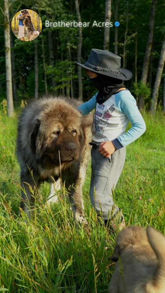 Cowboy with Giant Caucasian Shepherd and Puppy | Brotherbear Acres